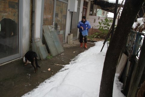 Akyazı Belediyesi Sahipsiz Hayvanların Bakım Ve Rehabilite İşlemine Devam Ediyor